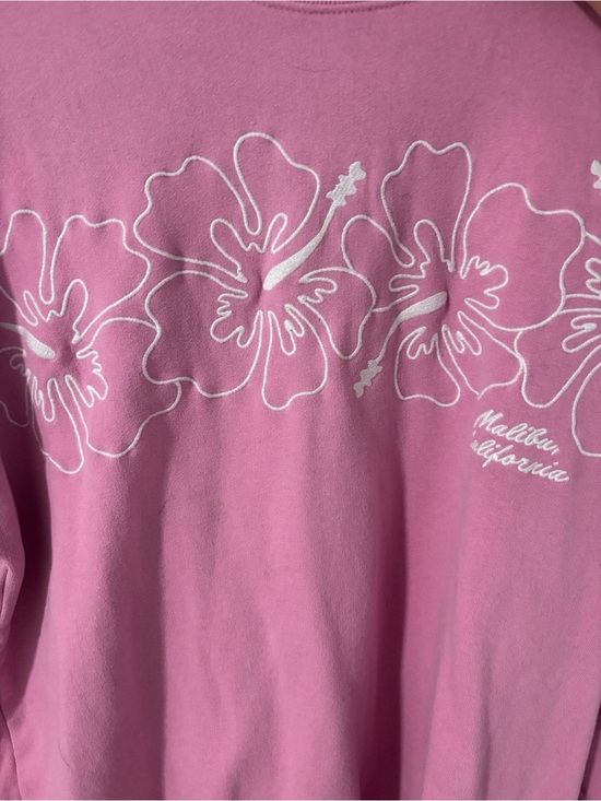 Hollister Other - Hollister Pink Floral Graphic Sweatshirt